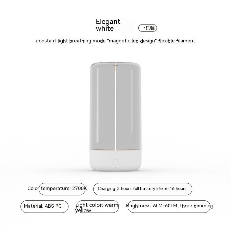 Portable LED Light